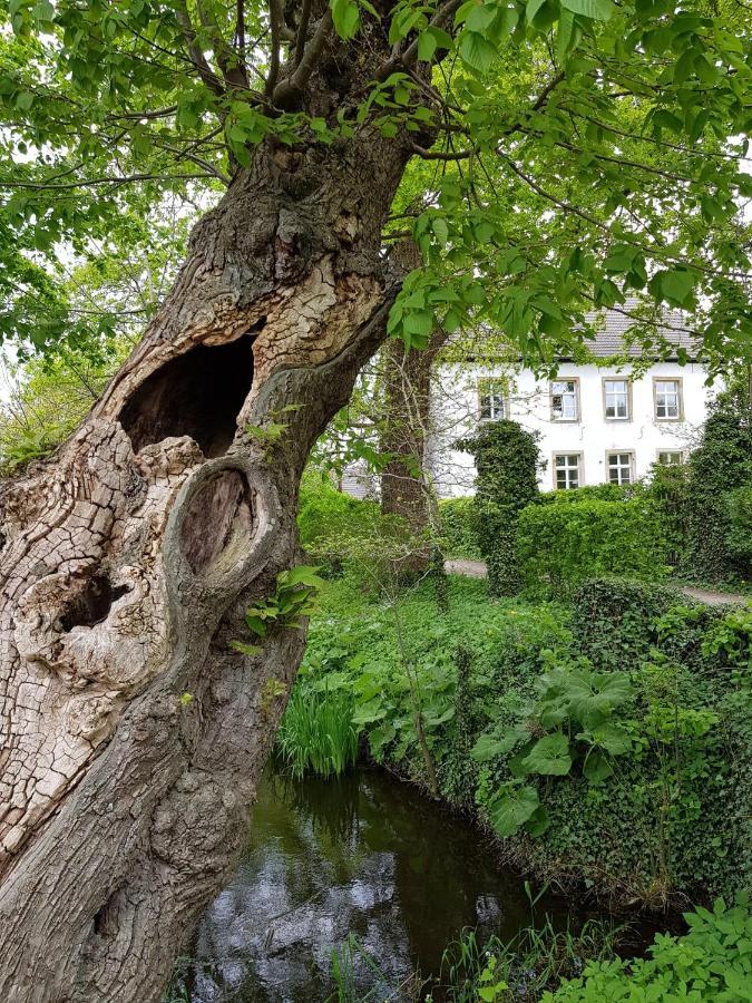 Ferienwohnung Varus Ostercappeln Экстерьер фото